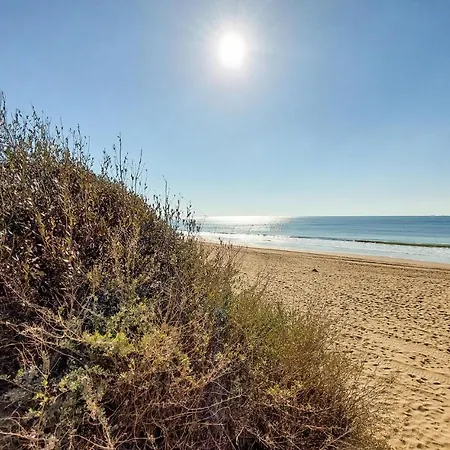 Appartement Pet Friendly In