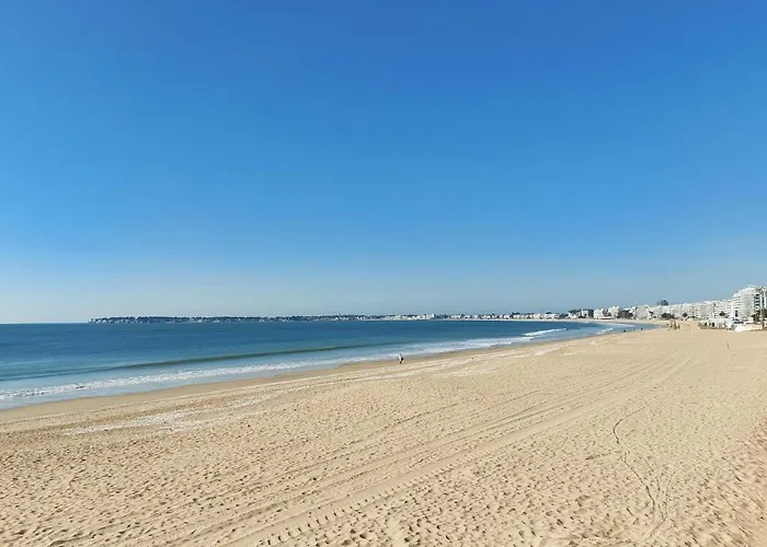 Pet Friendly In 公寓