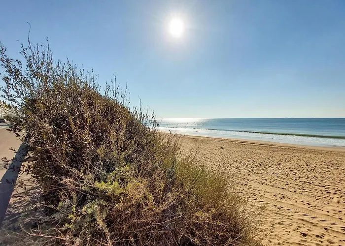 公寓 Pet Friendly In