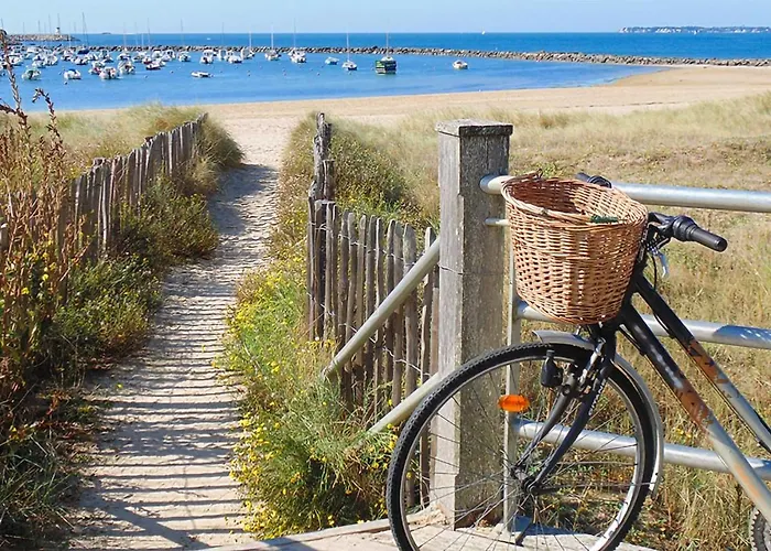 Pet Friendly In La Baule